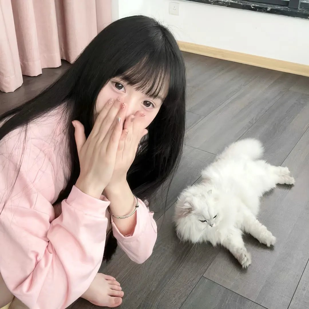 上载新生第四季