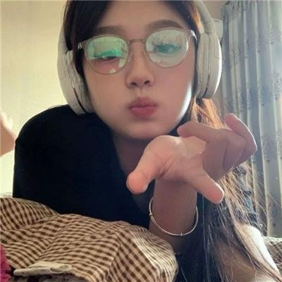 反对布鲁克林的案件
